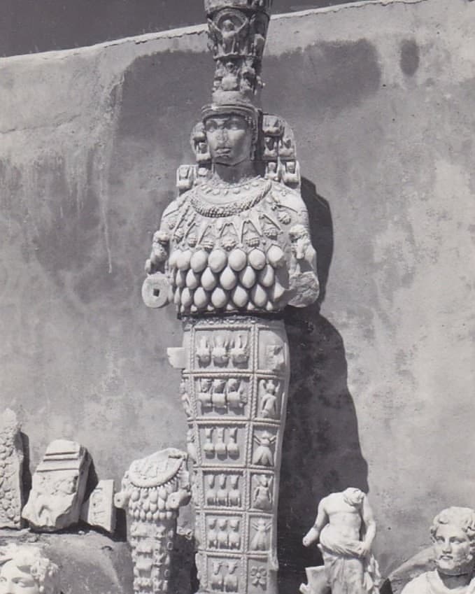 Ancient Egyptian bee hieroglyph relief