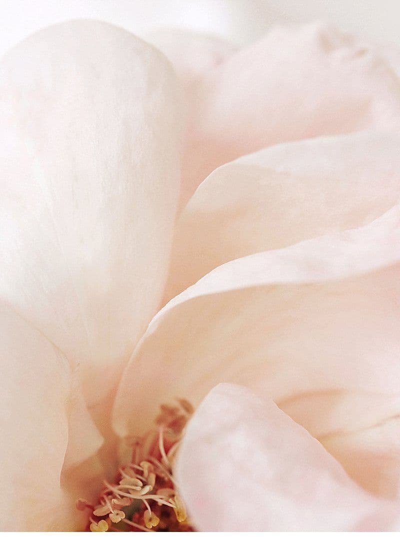 The blooming feminine
