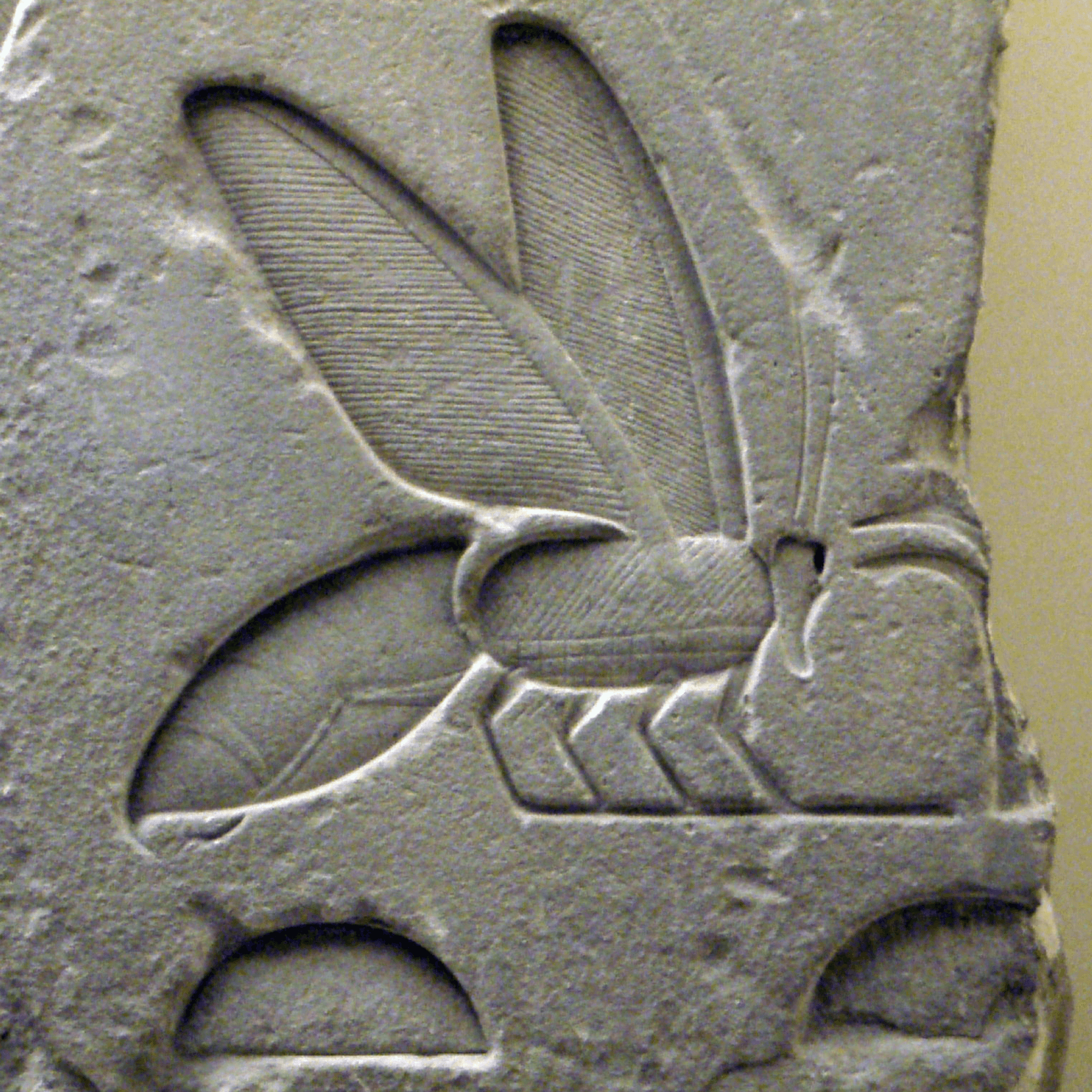 Ancient Egyptian bee hieroglyph