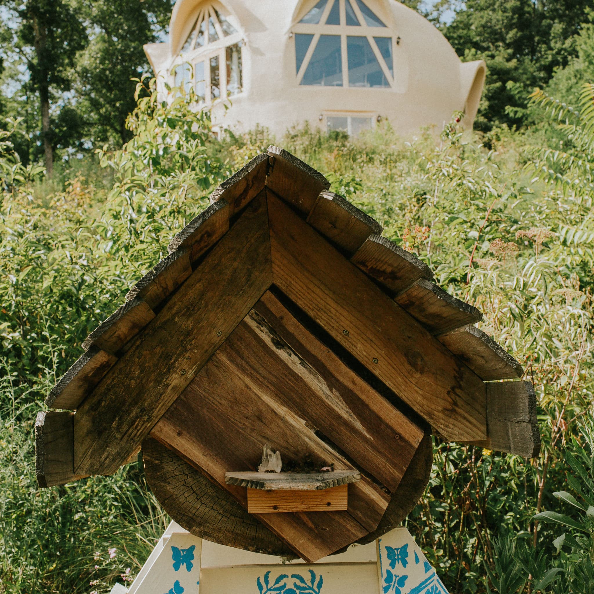 Women’s Wellness Sanctuary